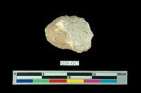 藏品(石筍)的圖片